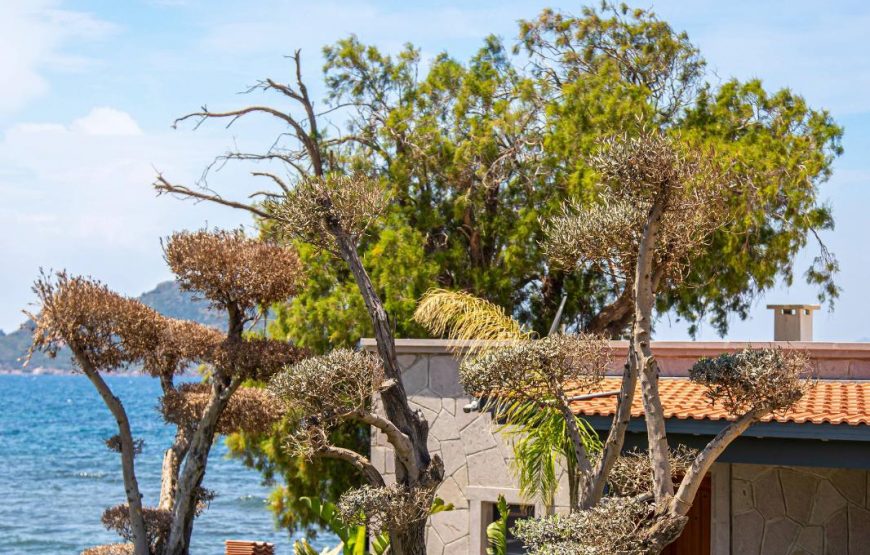 Dream House On the Water